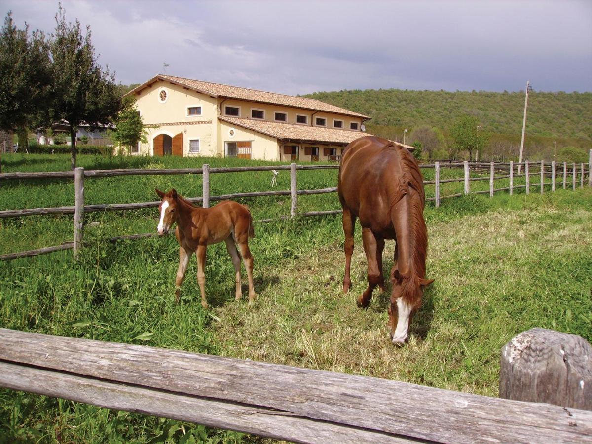 Agriturismo Potrero Grande Sul Lago Di Martignano Con Spiaggia Campagnano Di Roma Buitenkant foto