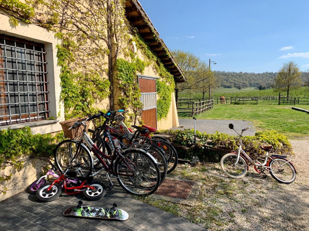 Agriturismo Potrero Grande Sul Lago Di Martignano Con Spiaggia Campagnano Di Roma Buitenkant foto
