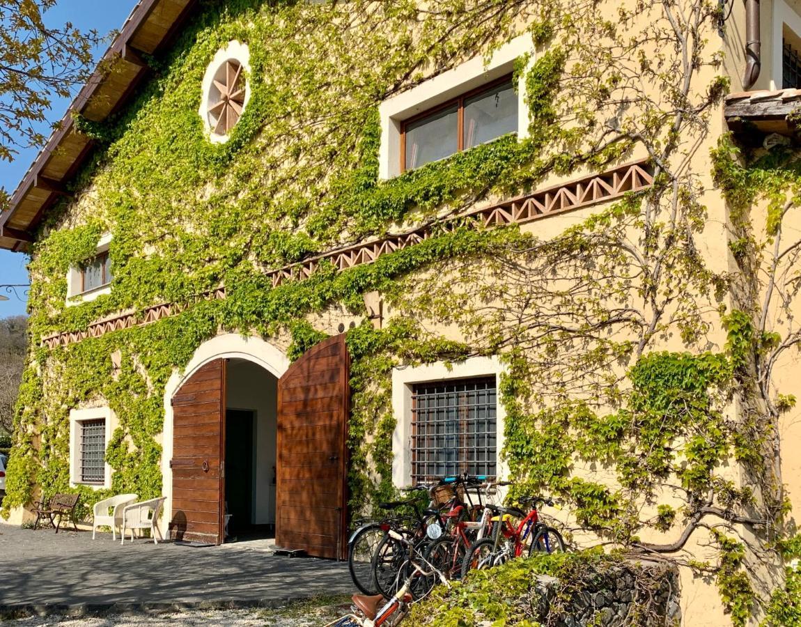 Agriturismo Potrero Grande Sul Lago Di Martignano Con Spiaggia Campagnano Di Roma Buitenkant foto