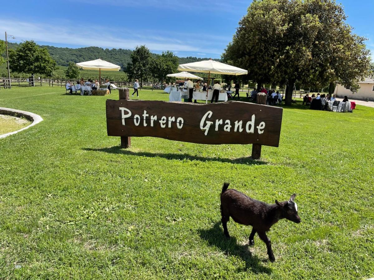 Agriturismo Potrero Grande Sul Lago Di Martignano Con Spiaggia Campagnano Di Roma Buitenkant foto
