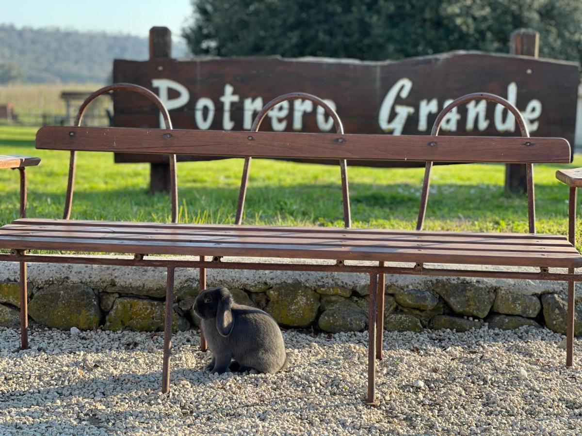 Agriturismo Potrero Grande Sul Lago Di Martignano Con Spiaggia Campagnano Di Roma Buitenkant foto