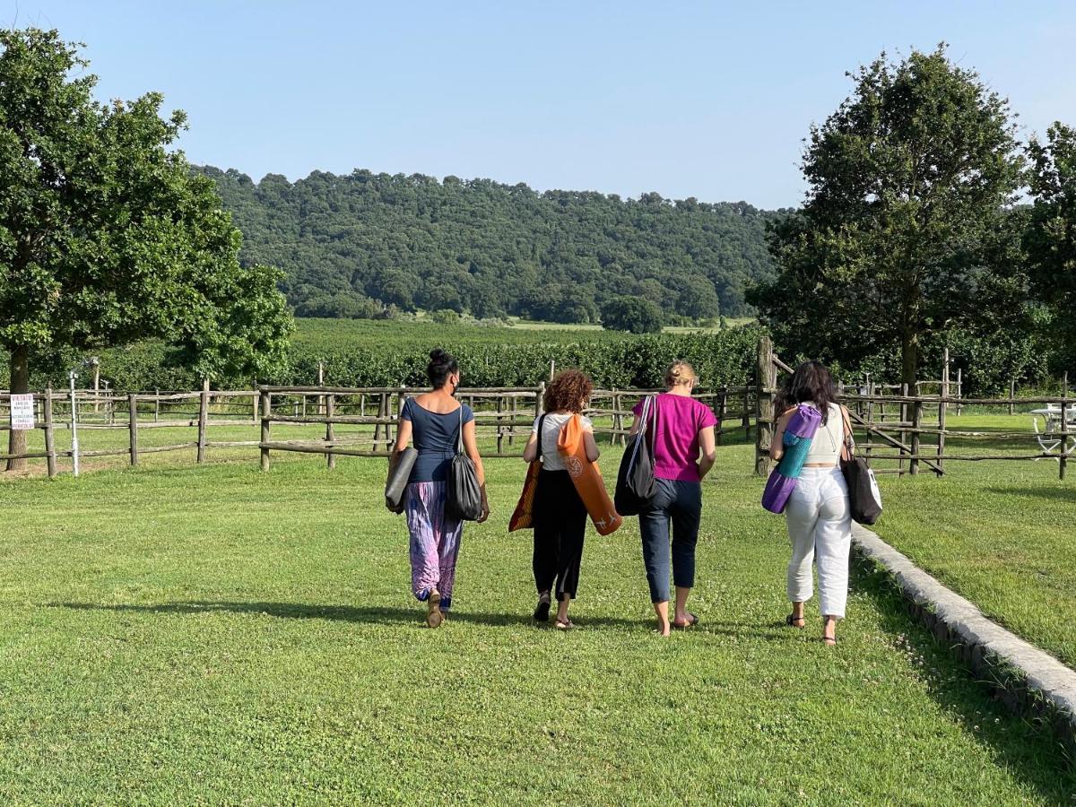 Agriturismo Potrero Grande Sul Lago Di Martignano Con Spiaggia Campagnano Di Roma Buitenkant foto