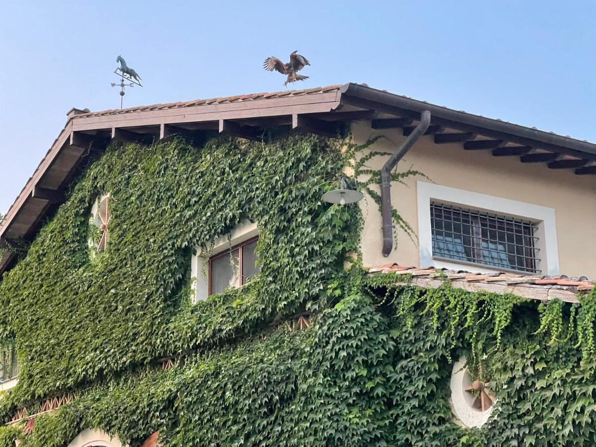 Agriturismo Potrero Grande Sul Lago Di Martignano Con Spiaggia Campagnano Di Roma Buitenkant foto