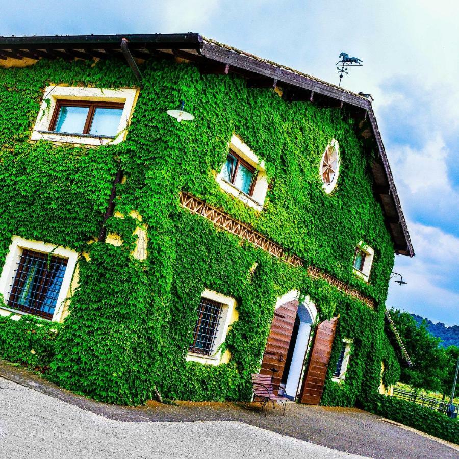 Agriturismo Potrero Grande Sul Lago Di Martignano Con Spiaggia Campagnano Di Roma Buitenkant foto